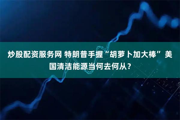 炒股配资服务网 特朗普手握“胡萝卜加大棒” 美国清洁能源当何去何从？