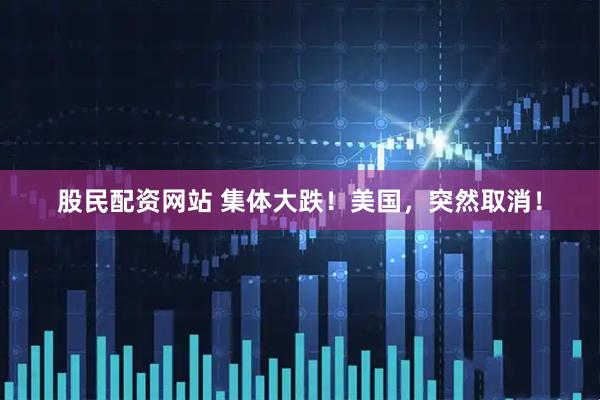 股民配资网站 集体大跌！美国，突然取消！